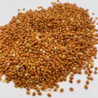 Braunhirse ungemahlen, Bio