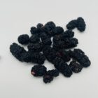 Maulbeeren schwarz, Bio